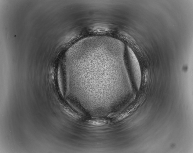 X0000098180567200805081026