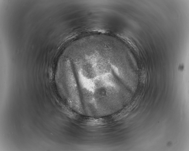 X0000098180569200805081027