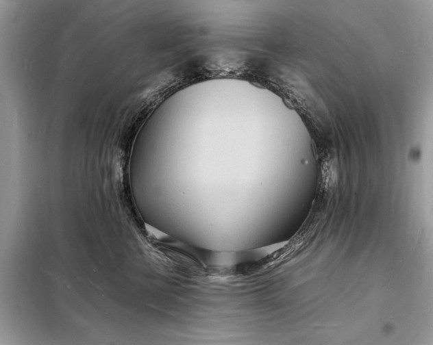 X0000098180570200805081027