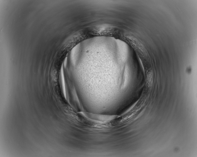 X0000098180571200805081027