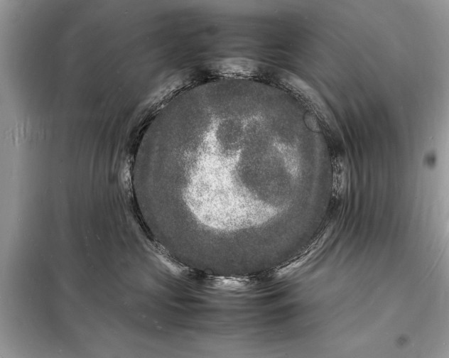 X0000098180573200805081027