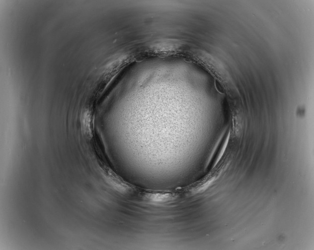 X0000098180575200805081027