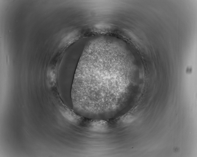 X0000098180576200805081027