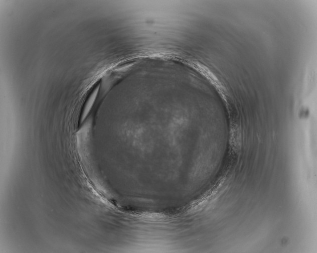 X0000098180577200805081026