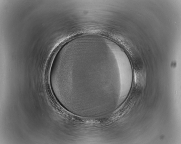 X0000098180579200805081026