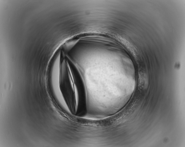 X0000098180580200805081026