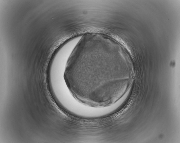 X0000098180581200805081026