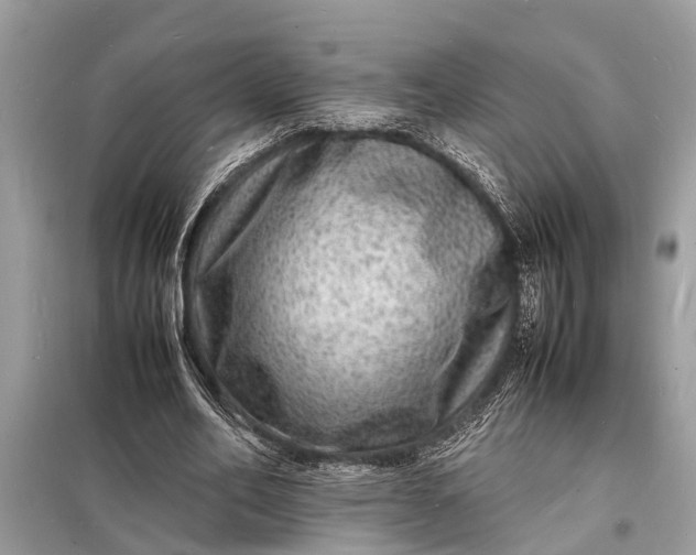 X0000098180582200805081026