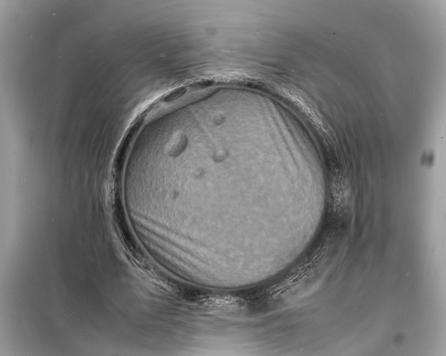 X0000098180583200805081026