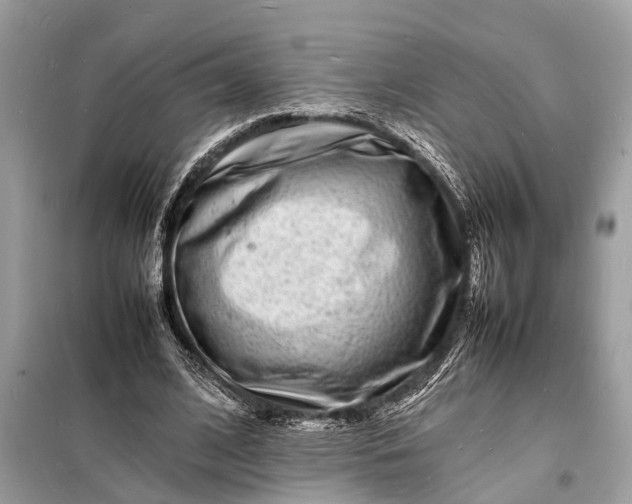 X0000098180584200805081026