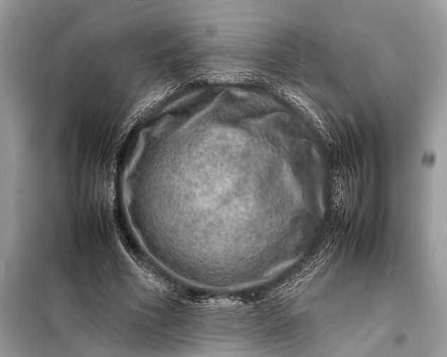 X0000098180586200805081026