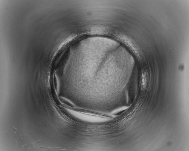 X0000098180588200805081026