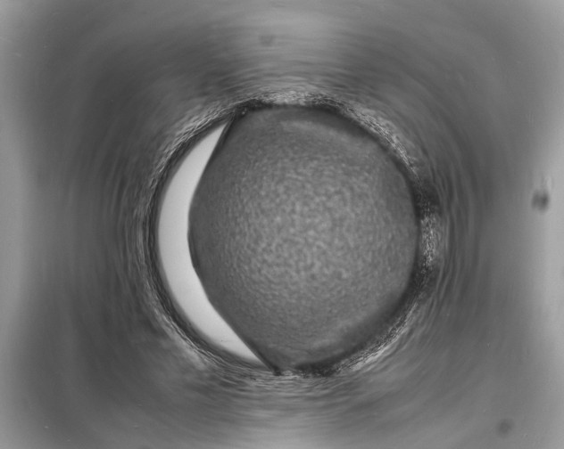 X0000098180589200805081026