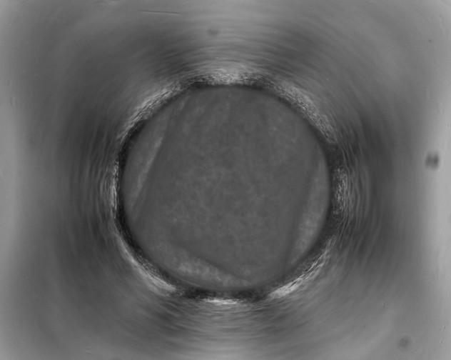 X0000098180590200805081026