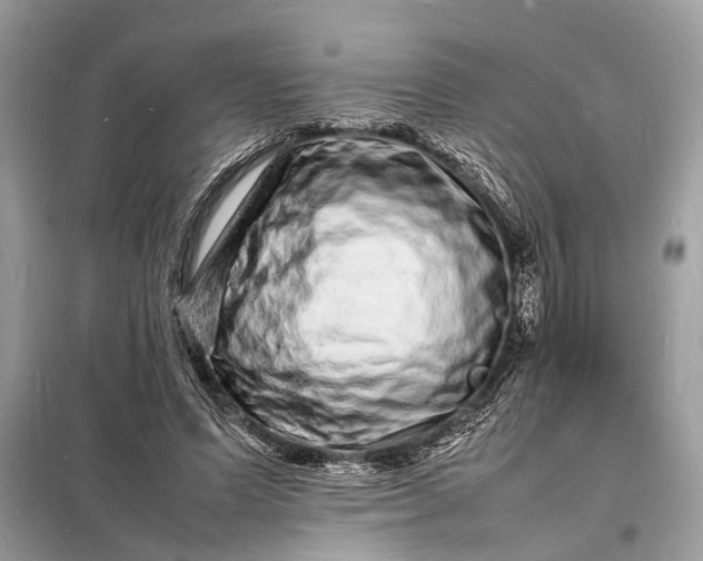 X0000098180591200805081026