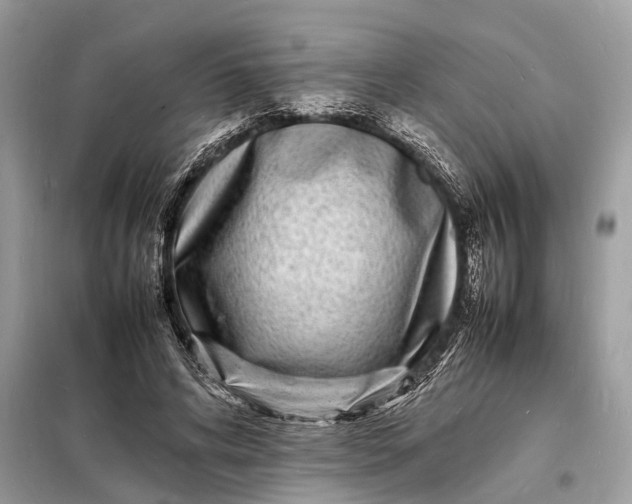 X0000098180592200805081026