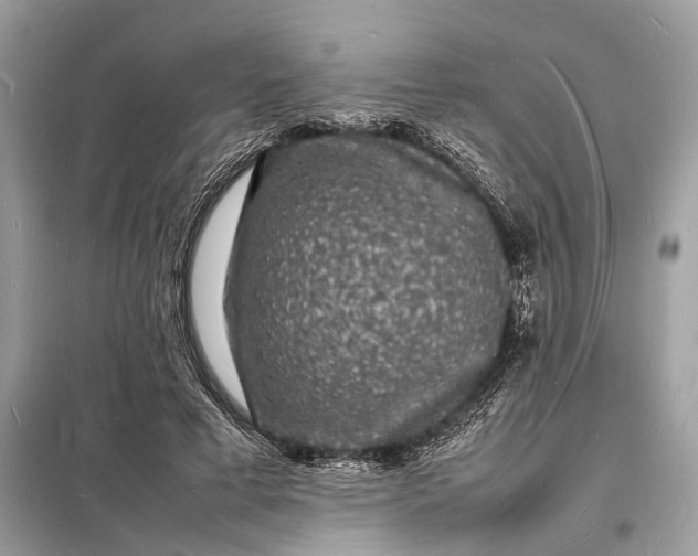 X0000098180593200805081026