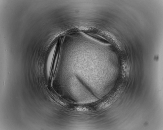 X0000098180596200805081026