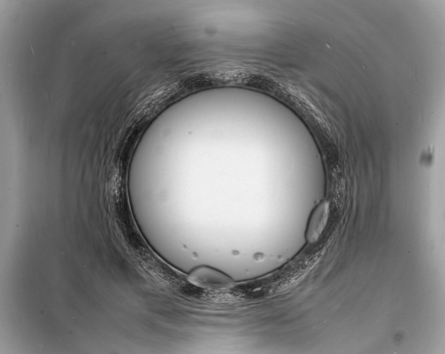 X0000098180597200805081026