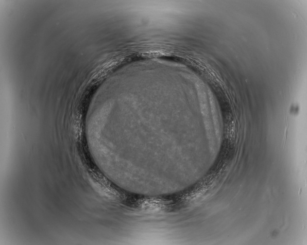 X0000098180599200805081026