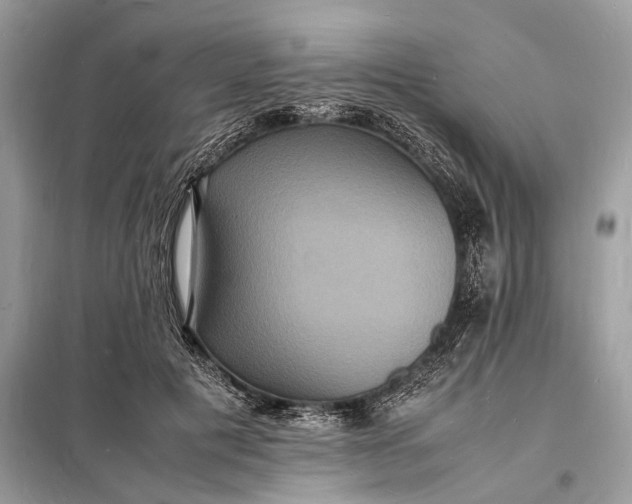 X0000098180601200805081026