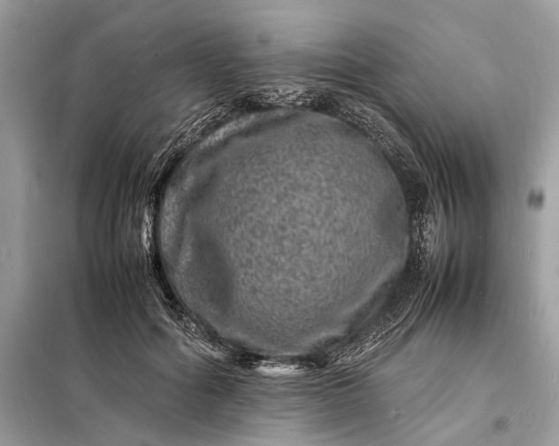 X0000098180602200805081026