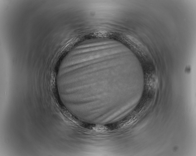 X0000098180603200805081026