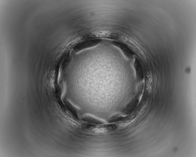 X0000098180604200805081026