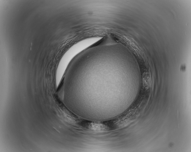 X0000098180605200805081026