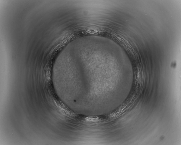 X0000098180606200805081026