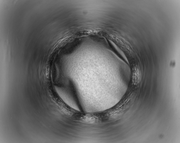 X0000098180608200805081026