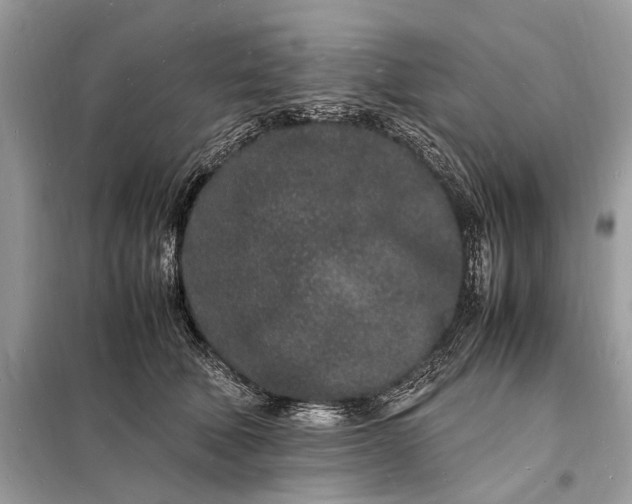 X0000098180610200805081025