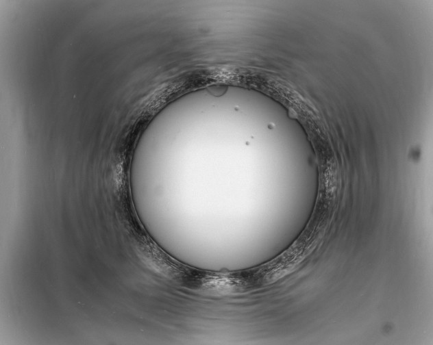 X0000098180611200805081025