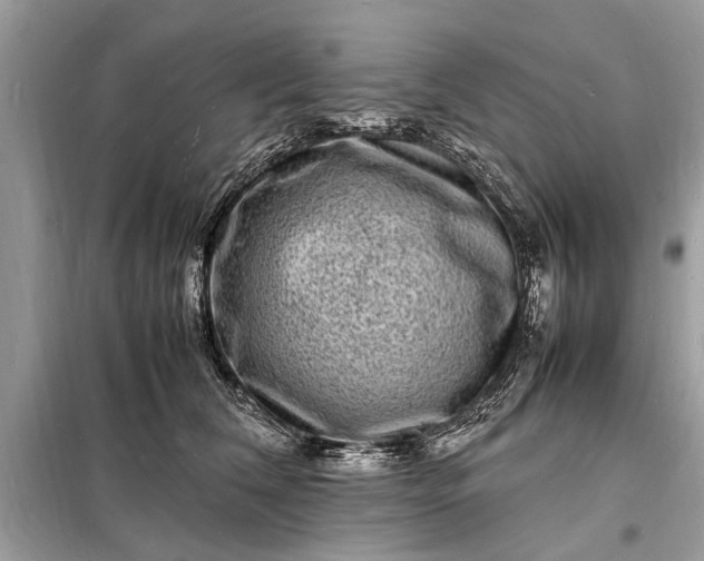 X0000098180612200805081025