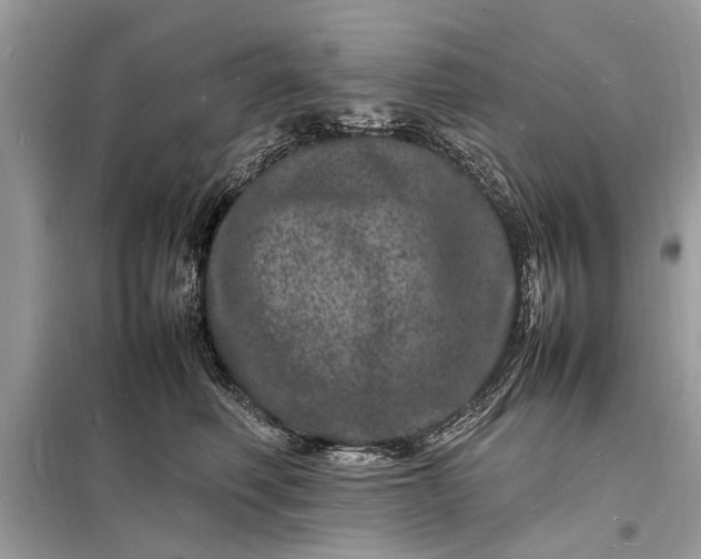 X0000098180614200805081025