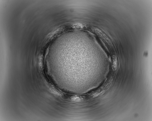 X0000098180616200805081025