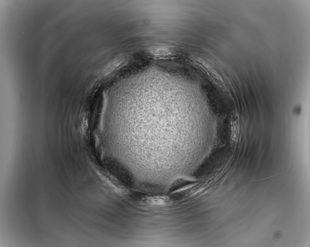 X0000098180618200805081025