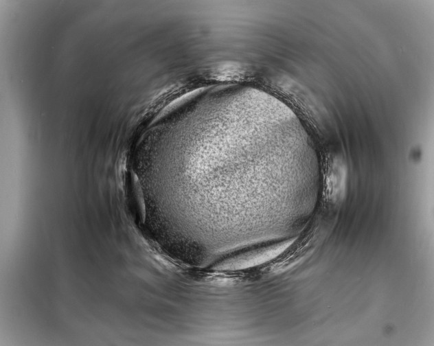 X0000098180620200805081025