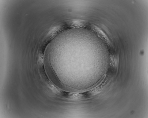 X0000098180621200805081025