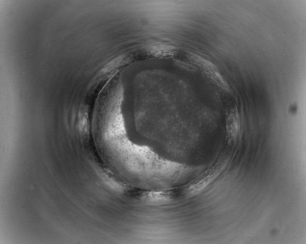 X0000098180622200805081025