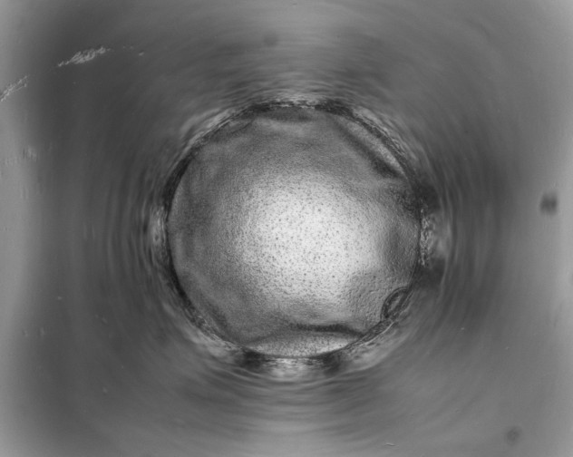 X0000098180623200805081025