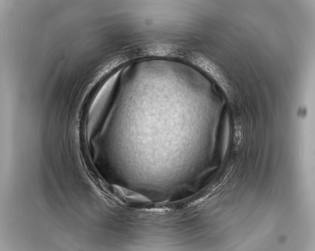 X0000098180626200805081025