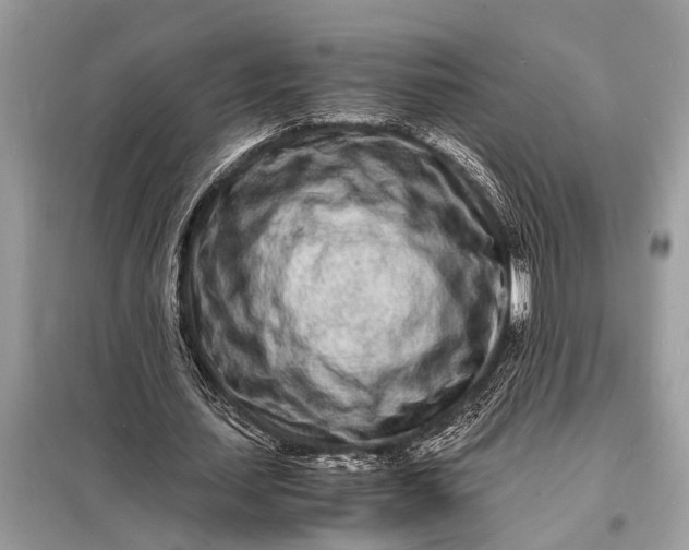 X0000098180627200805081025