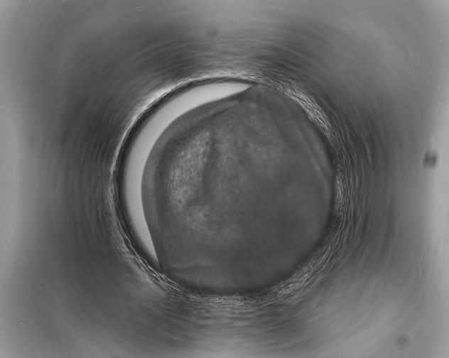 X0000098180628200805081025