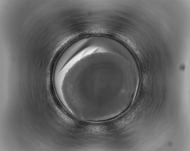 X0000098180629200805081025