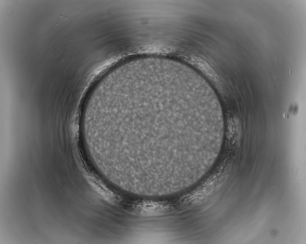 X0000098180632200805081025