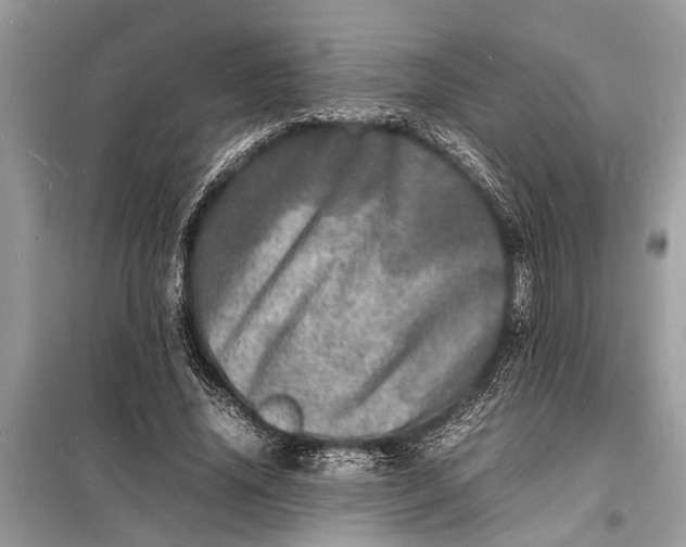 X0000098180636200805081025