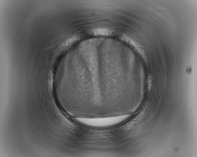 X0000098180637200805081025