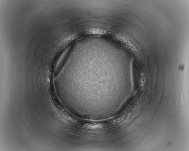 X0000098180639200805081025