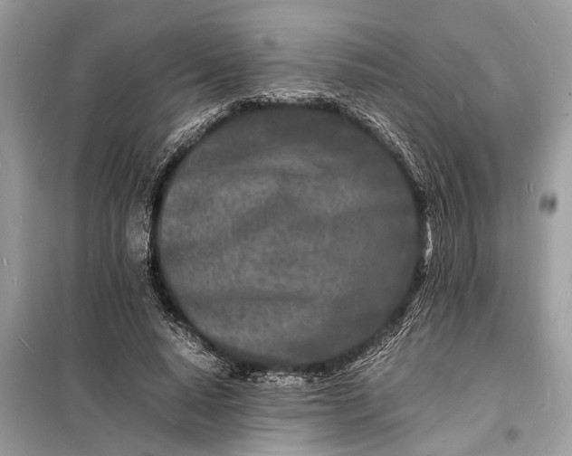 X0000098180640200805081025